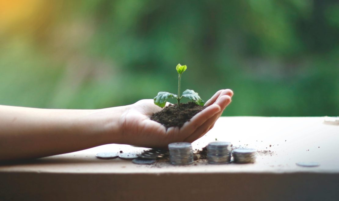 Un nouveau départ Une main tient une jeune pousse plantée dans de la terre, avec des piles de pièces de monnaie à côté, représentant un nouveau départ et la prospérité.